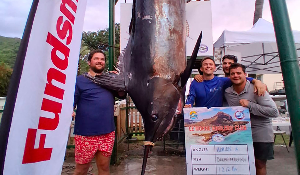 Un Blue Marlin de 1 212 livres couronne la compétition Fishing Guru au Morne Anglers Club